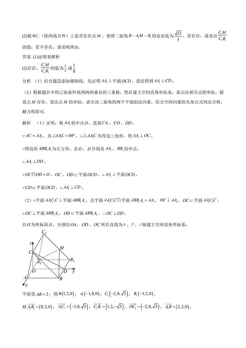 特训11 空间向量与立体几何动态问题（四大题型）（含解析答案） 备战2025年高考数学一轮复习《重难点题型与知识梳理·高分突破》02