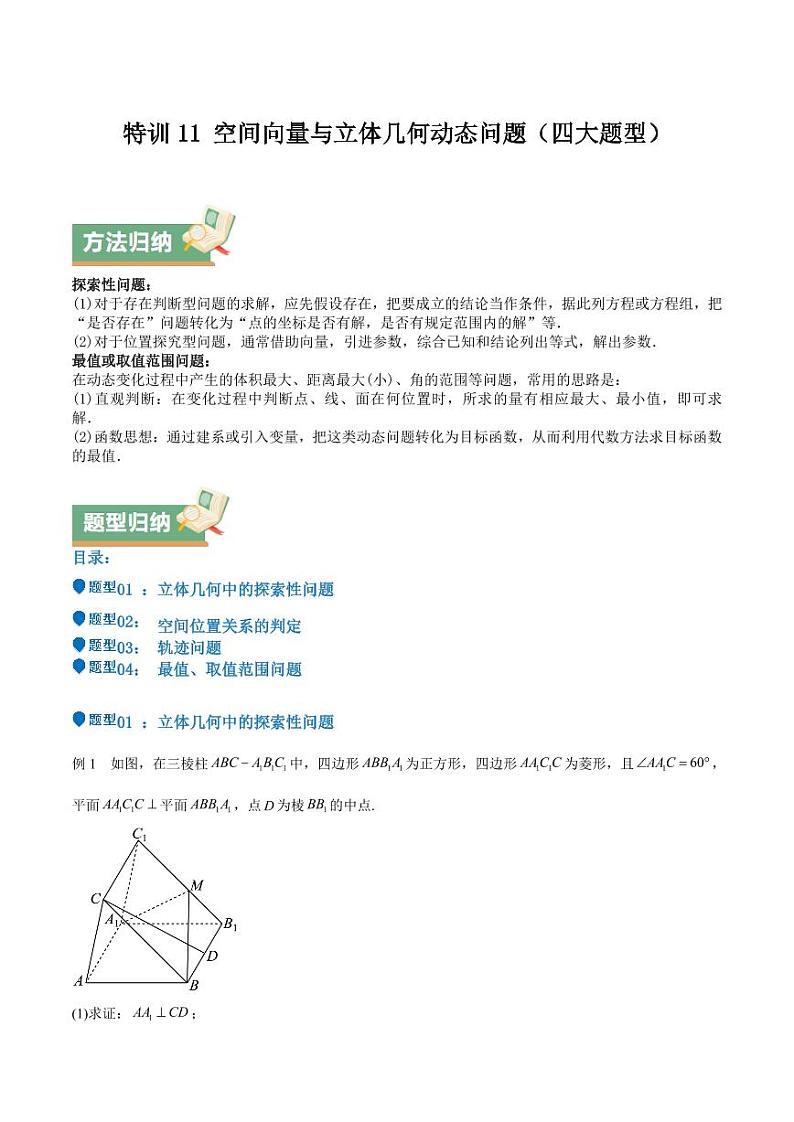 特训11 空间向量与立体几何动态问题（四大题型）（含解析答案） 备战2025年高考数学一轮复习《重难点题型与知识梳理·高分突破》01