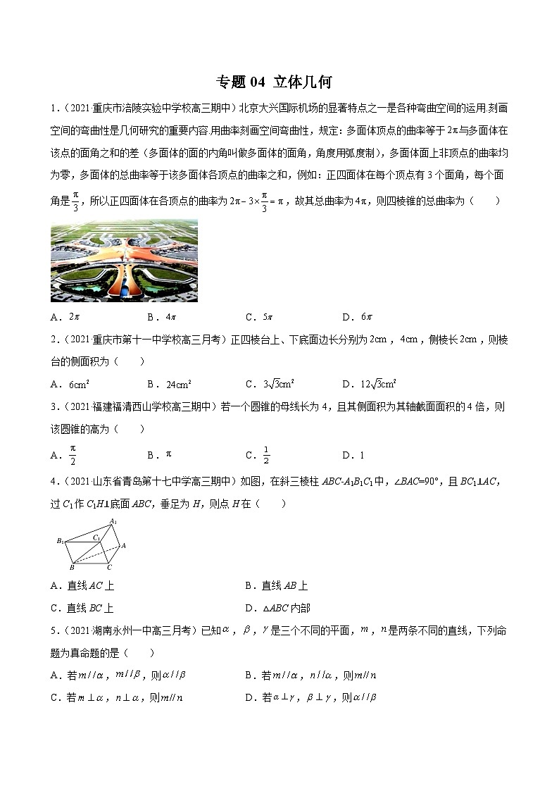 2022年新高考数学模拟题分项汇编(第四期)专题04立体几何(原卷版+解析)第1页