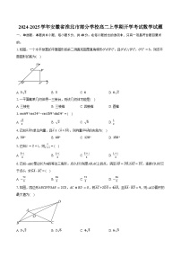 2024-2025学年安徽省淮北市部分学校高二上学期开学考试数学试题（含解析）