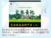 3.3幂函数 课件  2024-2025学年高一数学人教A版（2019）必修 第一册