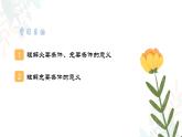 1.4 充分条件与必要条件 课件-----2024-2025学年高一数学人教A版（2019）必修 第一册