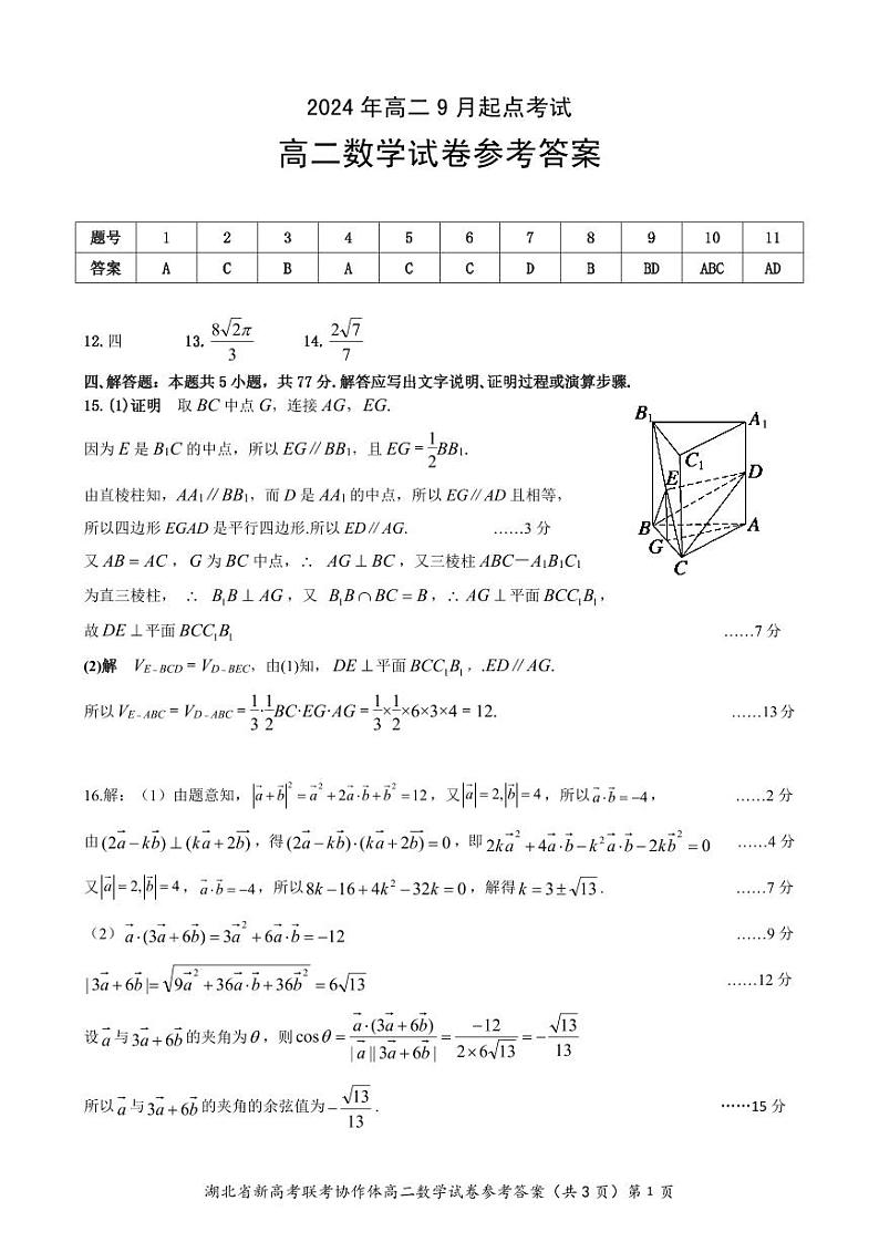 湖北新高考联考协作体2024年高二上学期开学考试数学试题+答案01