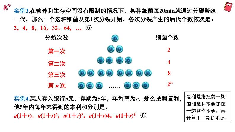 湘教版（2019）数学第一章第四节《等比数列的概念》PPT课件04