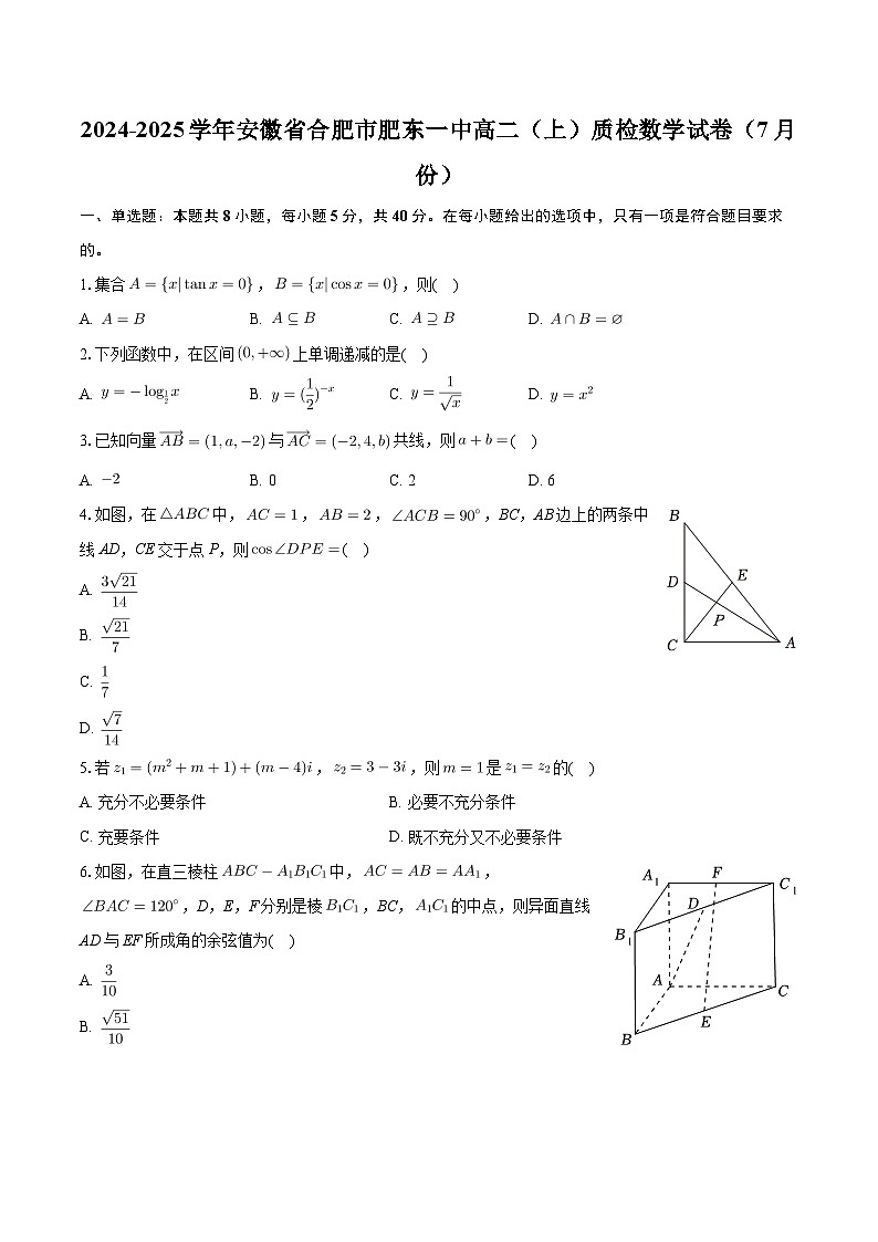 安徽省合肥市肥东县第一中学2024-2025学年高二上学期7月份自学质量检测数学试题01