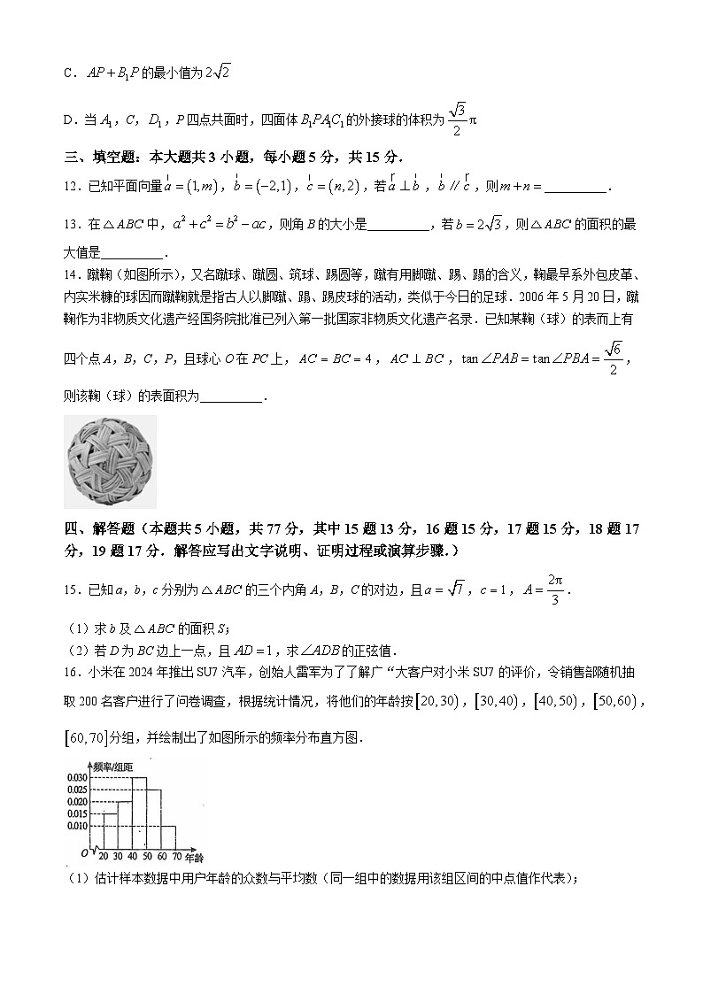 广东省湛江市岭南师范学院附属中学2024-2025学年高二上学期开学调研考试数学试题第3页