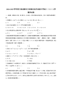 2024-2025学年四川省成都市天府新区实外高级中学高三（上）入学数学试卷（含答案）