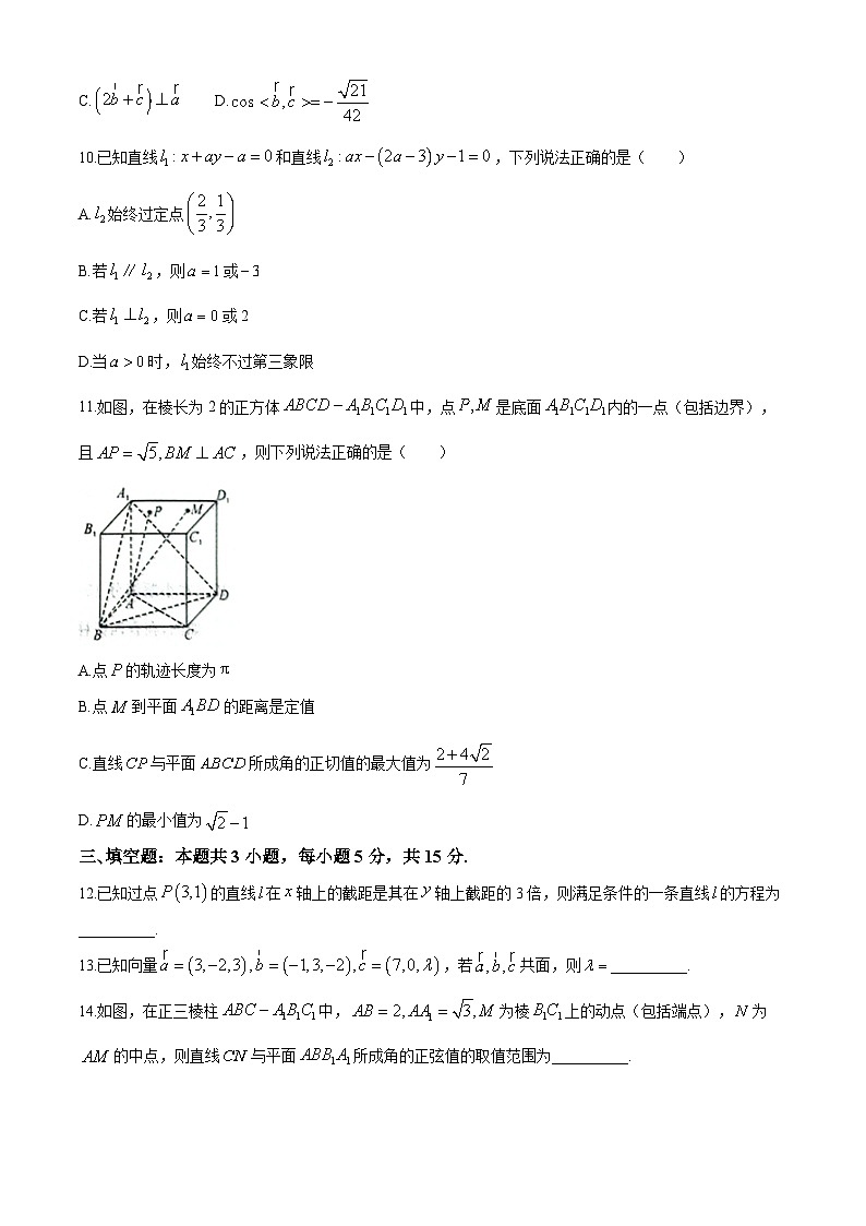 河北省郑口中学、鸡泽县第一中学2024-2025学年高二上学期10月月考数学试题(无答案)第3页