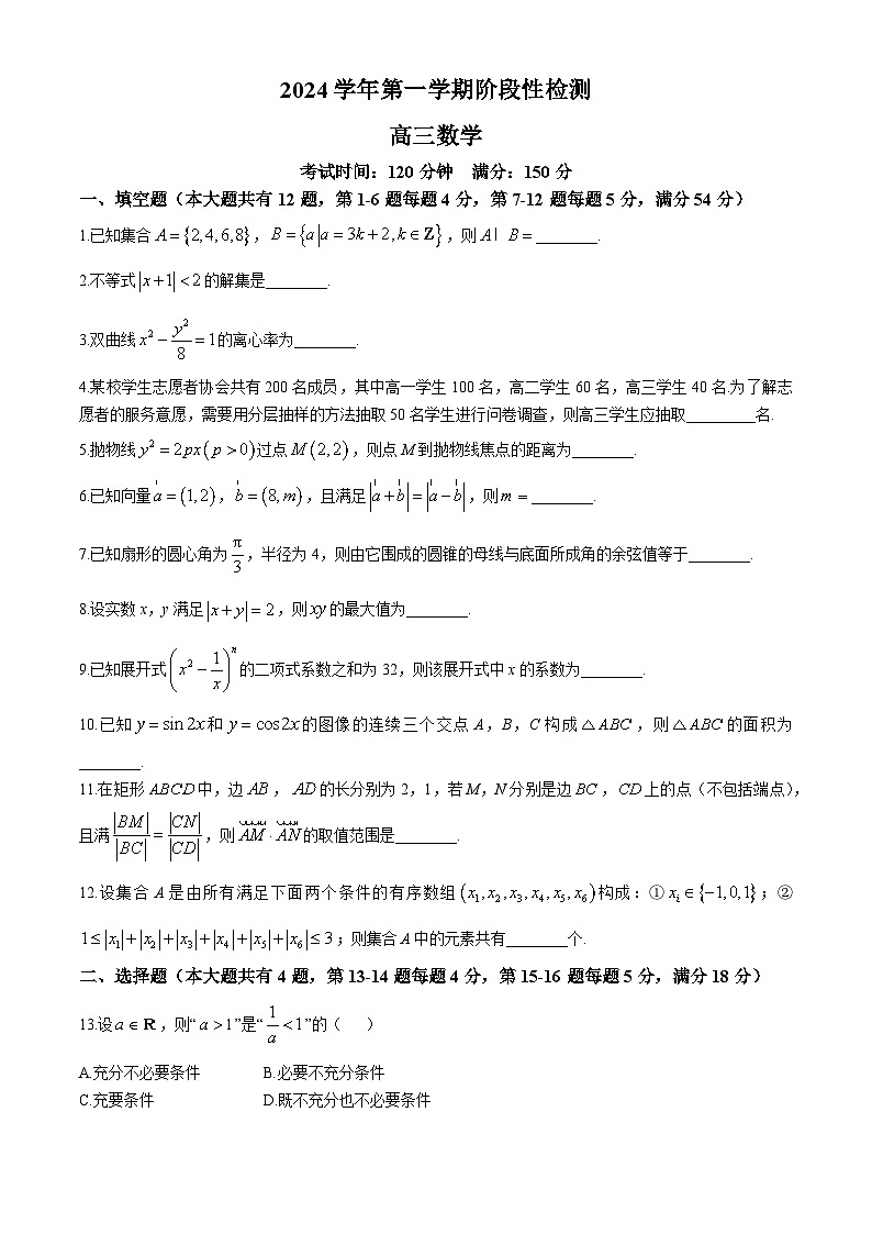 上海市嘉定区第一中学2024-2025学年高三上学期10月阶段性检测数学试卷(无答案)第1页