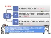 2.6.2 双曲线的几何性质（教学课件）-高中数学人教B版（2019）选择性必修第一册