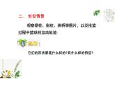 2.7.1抛物线的标准方程（教学课件）-高中数学人教B版（2019）选择性必修第一册