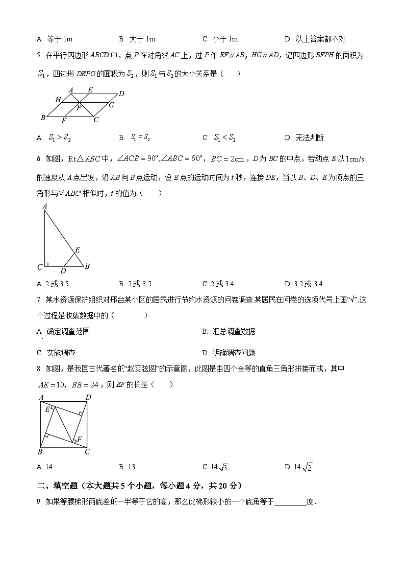 四川省成都市蒲江县蒲江中学2024-2025学年高一新生入学分班质量检测数学试题 Word版无答案第2页