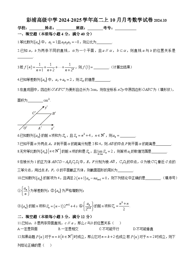 上海市静安区彭浦高级中学2024-2025学年高二上学期10月月考数学试卷第1页