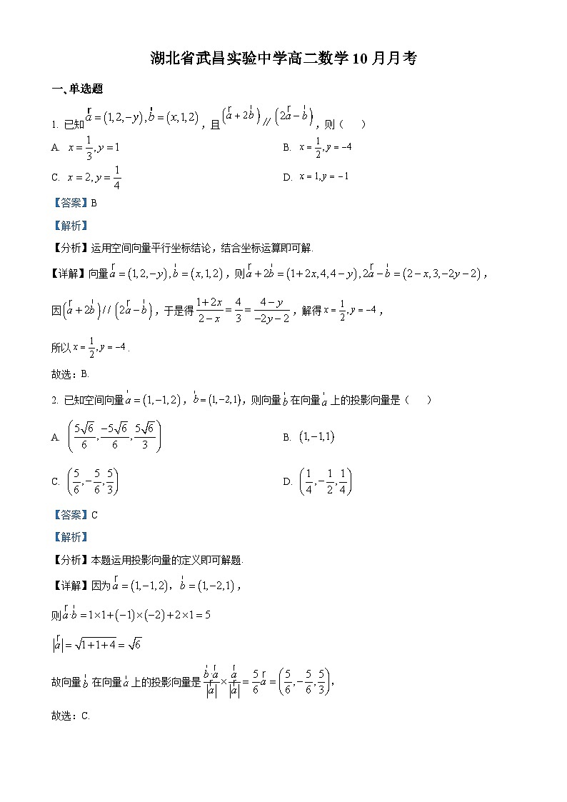 湖北省武汉市武昌实验中学2024-2025学年高二上学期10月月考数学试卷 Word版含解析第1页