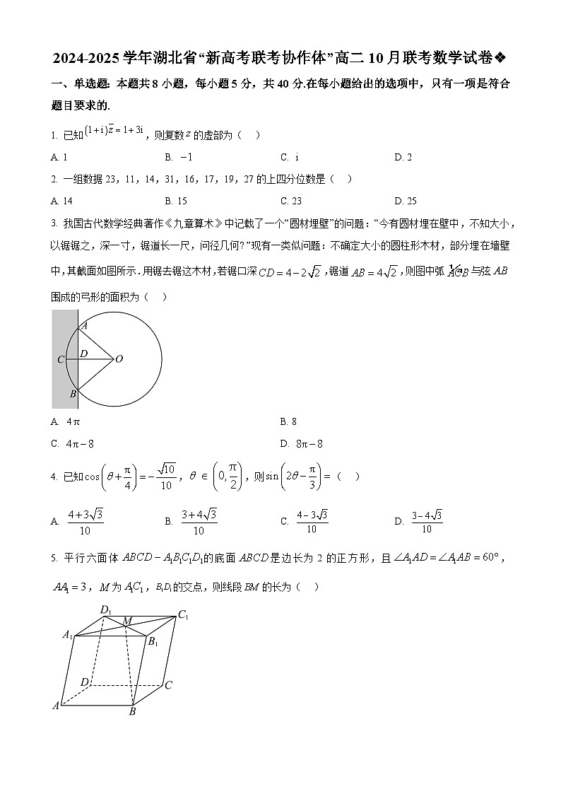 湖北省新高考联考协作体2024-2025学年高二上学期10月联考数学试题（Word版附解析）01