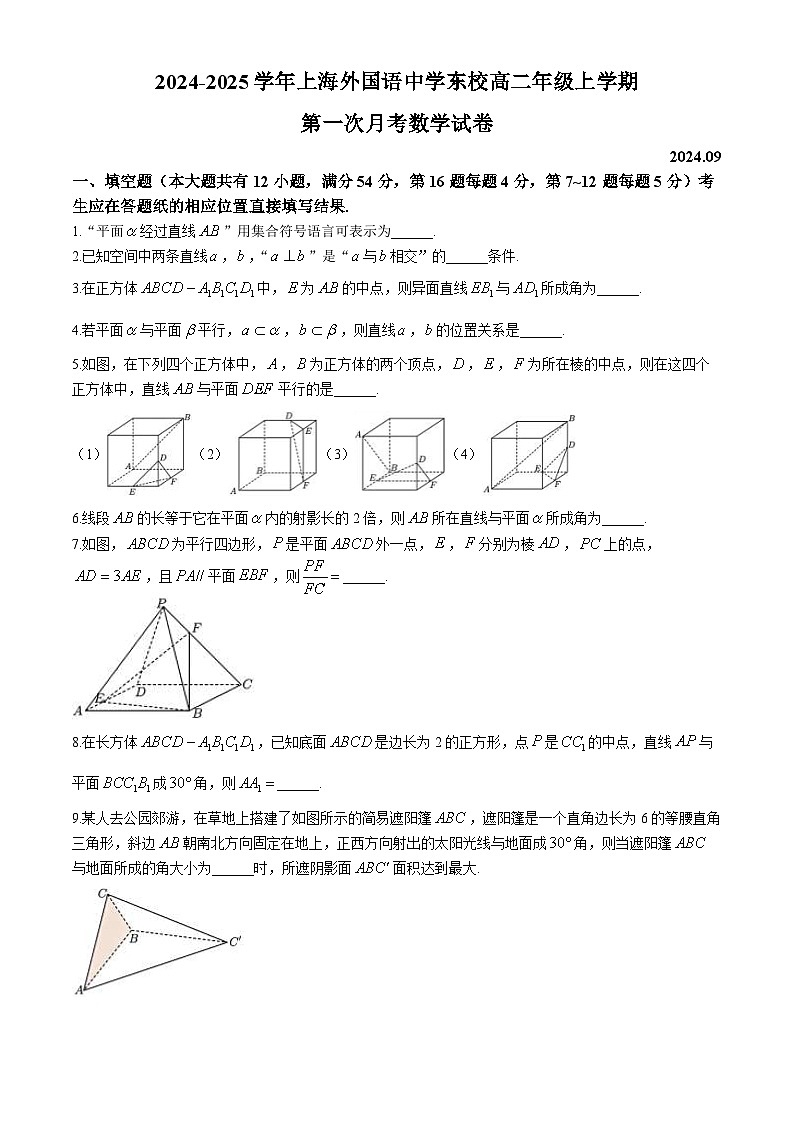 上海外国语大学附属外国语学校东校2024-2025学年高二上学期第一次月考数学试卷第1页