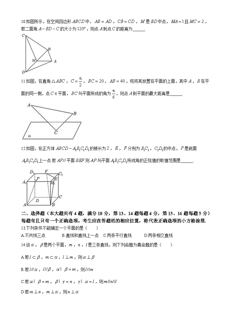 上海外国语大学附属外国语学校东校2024-2025学年高二上学期第一次月考数学试卷第2页