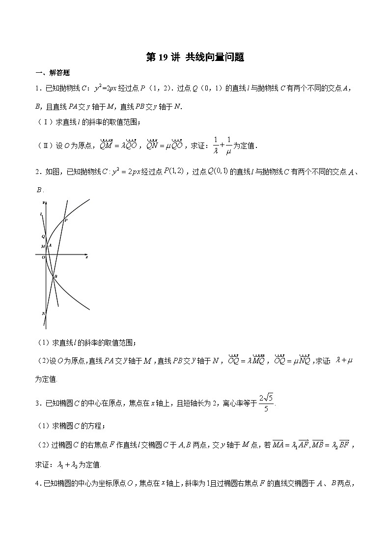新高考数学之圆锥曲线综合讲义第19讲共线向量问题(原卷版+解析)01