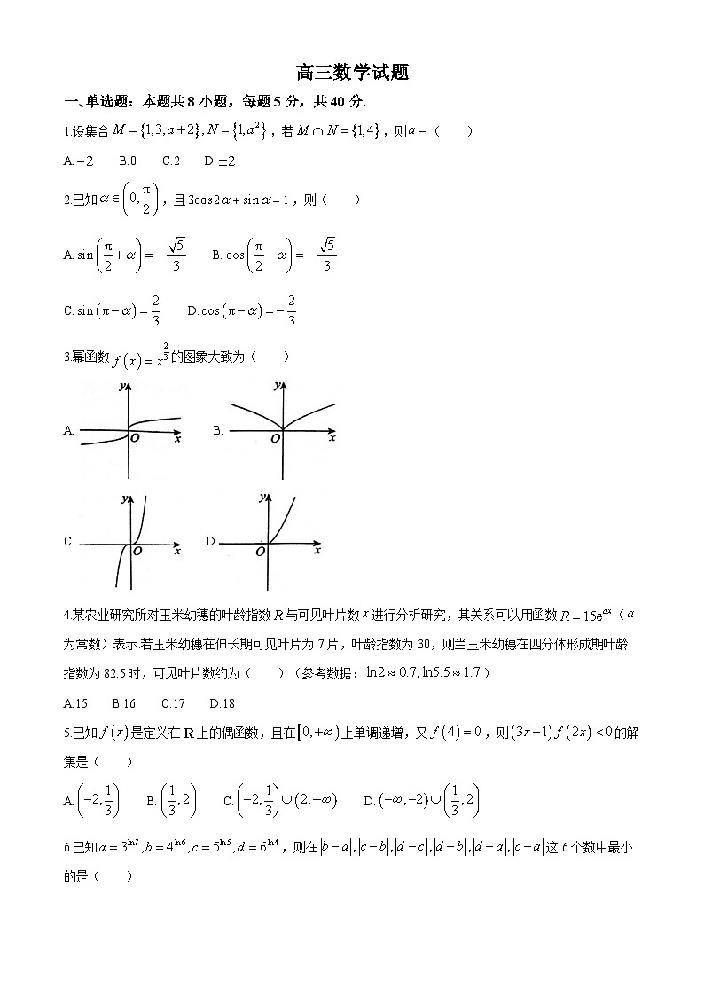 山东省菏泽市鄄城县第一中学2024-2025学年高三上学期10月月考数学试题第1页