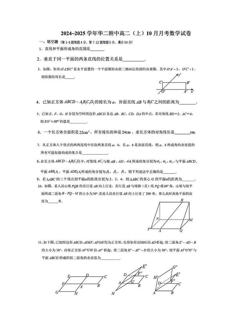 上海市华东师范大学第二附属中学2024-2025学年高二上学期10月月考数学试卷第1页