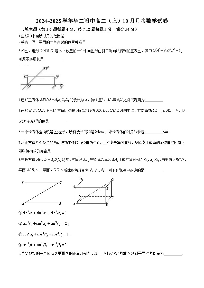 上海市华东师范大学第二附属中学2024-2025学年高二上学期10月月考数学试卷第1页
