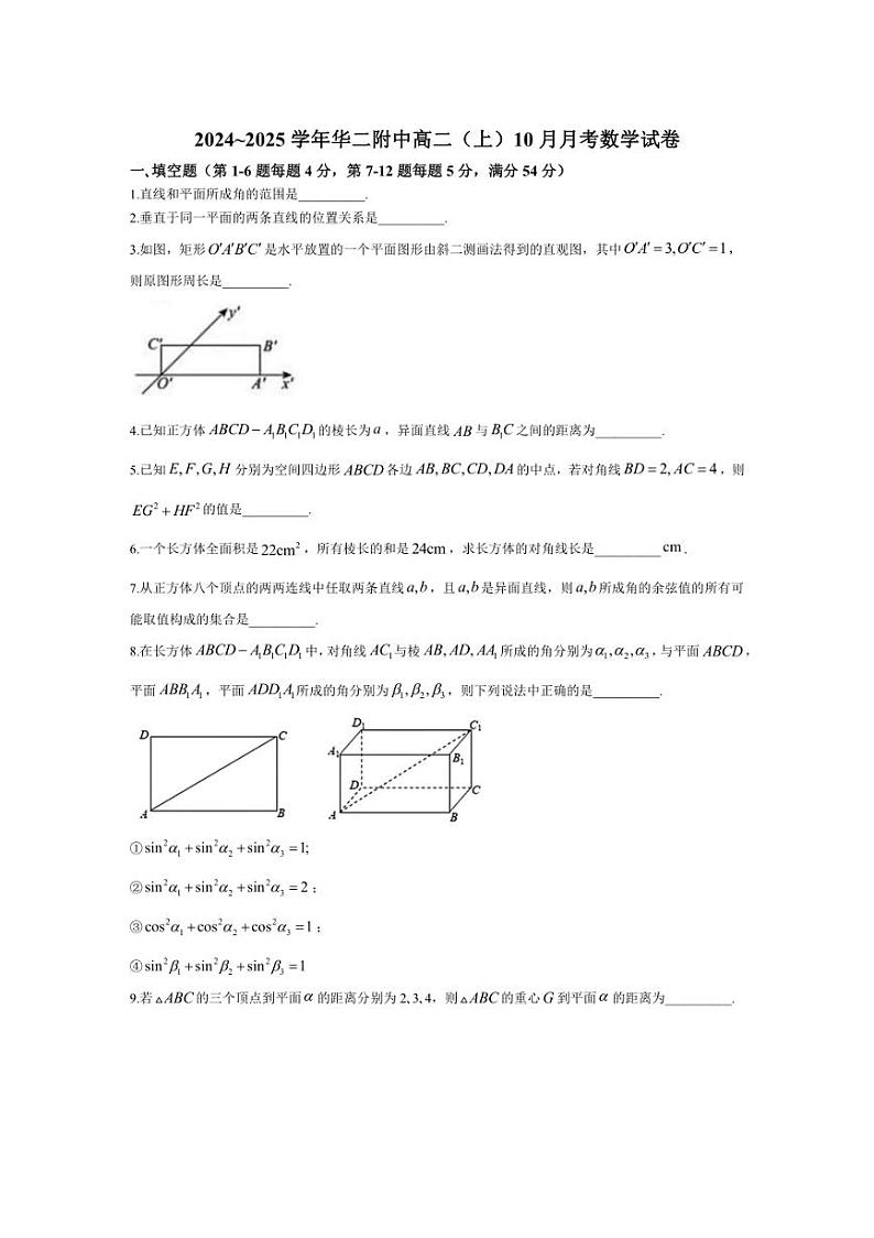 [数学]上海市华东师范大学第二附属中学2024～2025学年高二上学期10月月考试卷(有答案)01