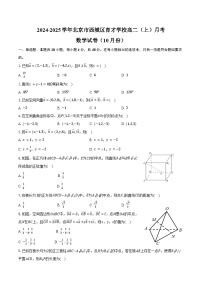 2024-2025学年北京市西城区育才学校高二（上）月考数学试卷（10月份）（含答案）