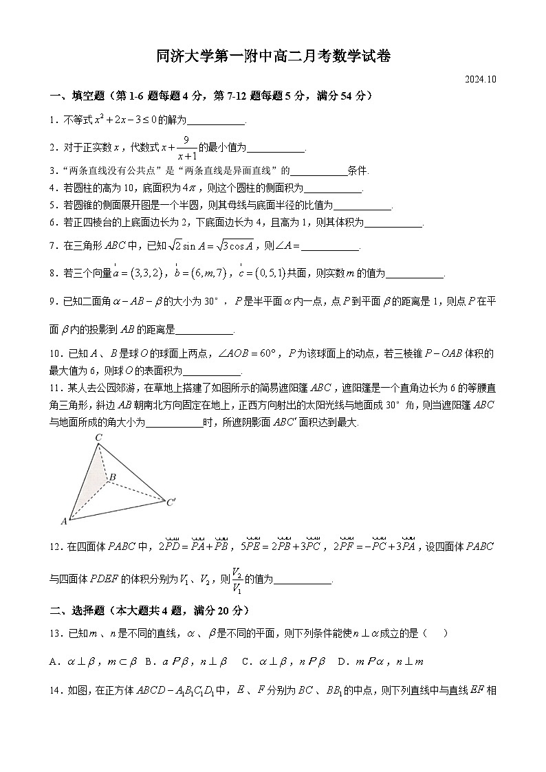 上海市同济大学第一附属中学2024-2025学年高二上学期10月月考数学试题(无答案)第1页
