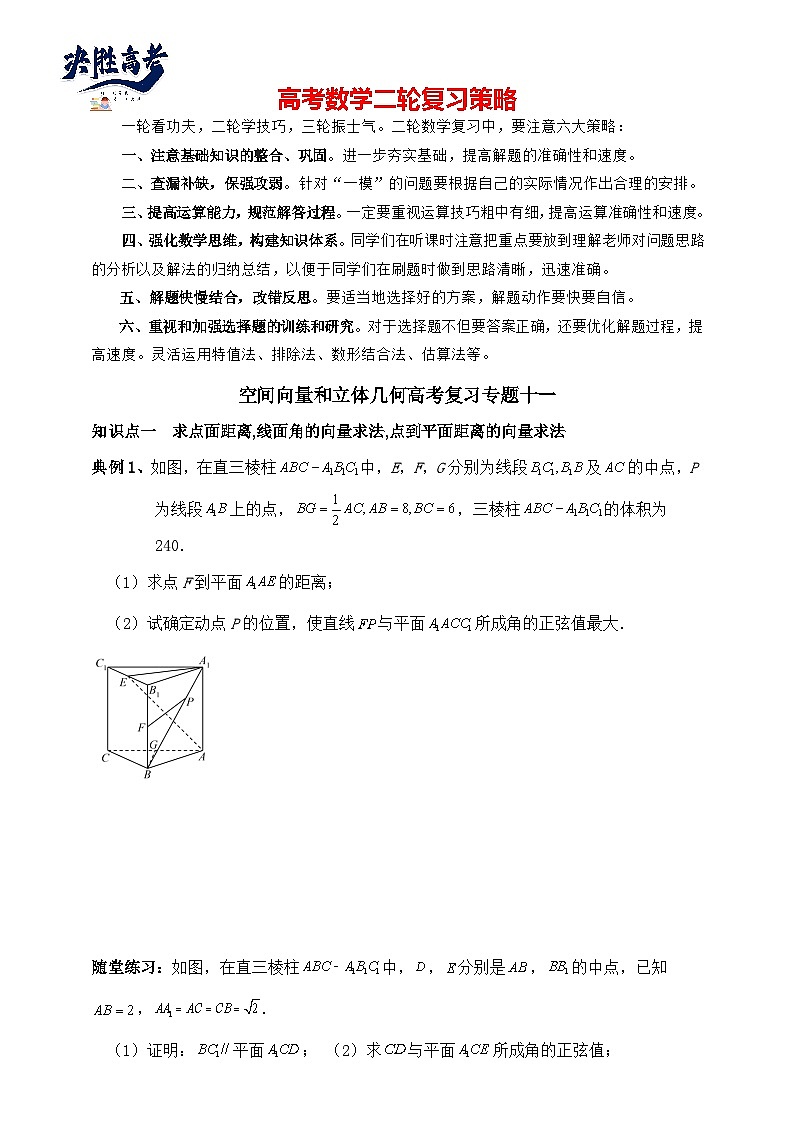 2025年高考数学二轮专题复习（讲义）--空间向量和立体几何专题十一（含解析）第1页