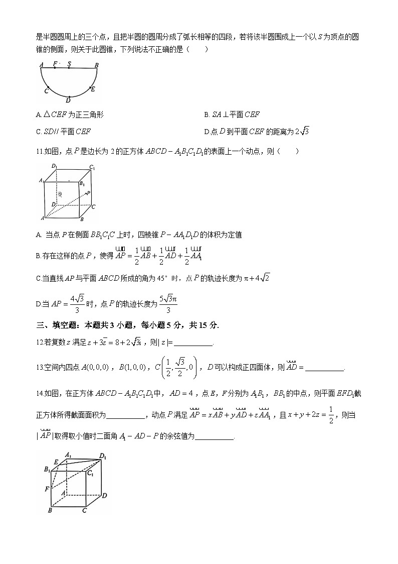 云南省玉溪市2024-2025学年高二上学期9月一调考试 数学试卷(2)第3页