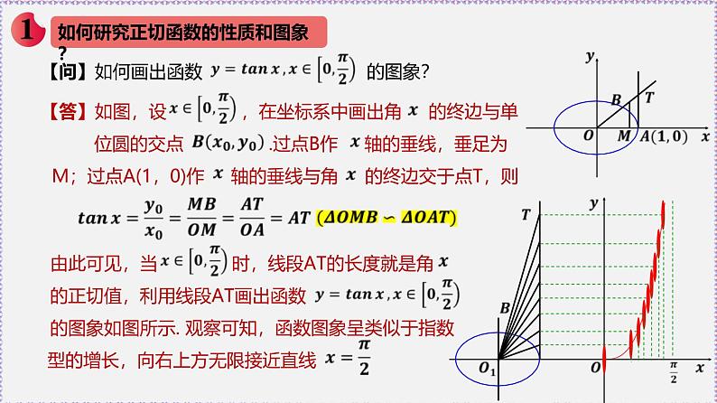 最新新人教版高中数学必修第一册5.4.3 正切函数的性质和图象（课件）第5页