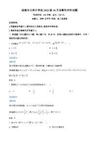 四川省成都市玉林中学2024-2025学年高三上学期10月诊断性评价数学试卷（Word版附解析）