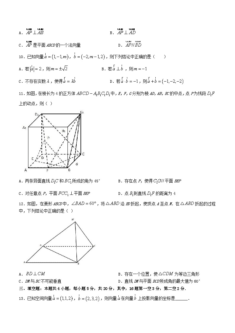 辽宁省滨城高中联盟2023_2024学年高二数学上学期10月月考试题第3页