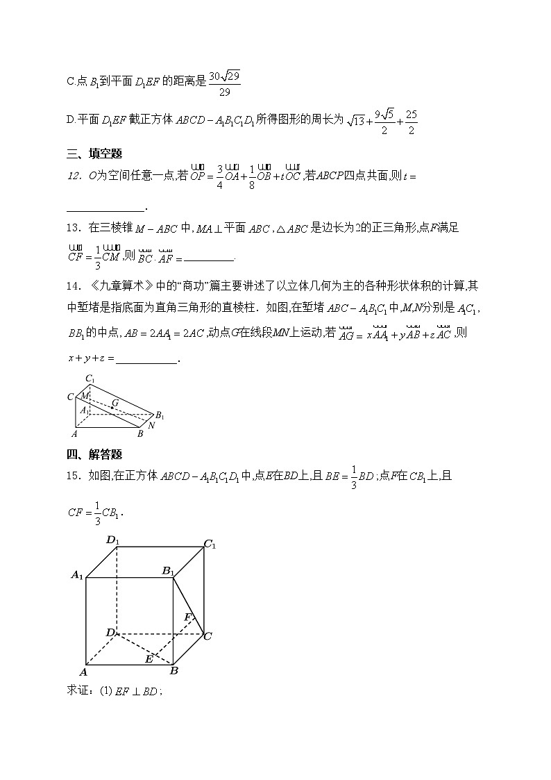 重庆市朝阳中学2024-2025学年高二上学期第一次月考数学试卷(含答案)第3页