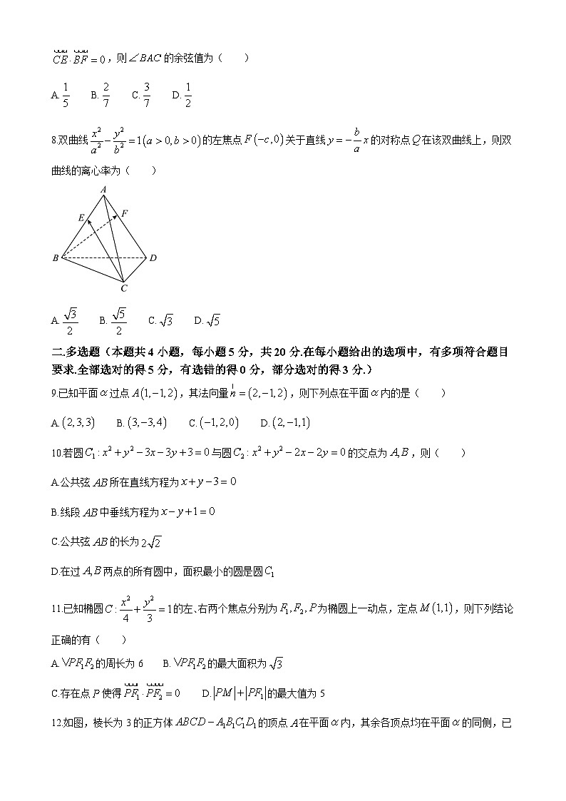 山东省实验中学2023-2024学年高二上学期期中考试数学试题第2页