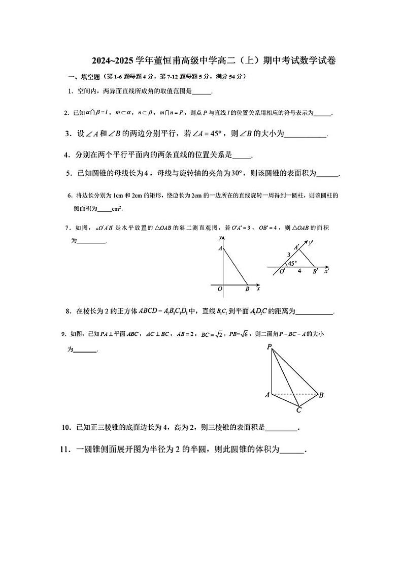 上海市徐汇区董恒甫高级中学2024-2025学年上学期高二期中数学试题第1页