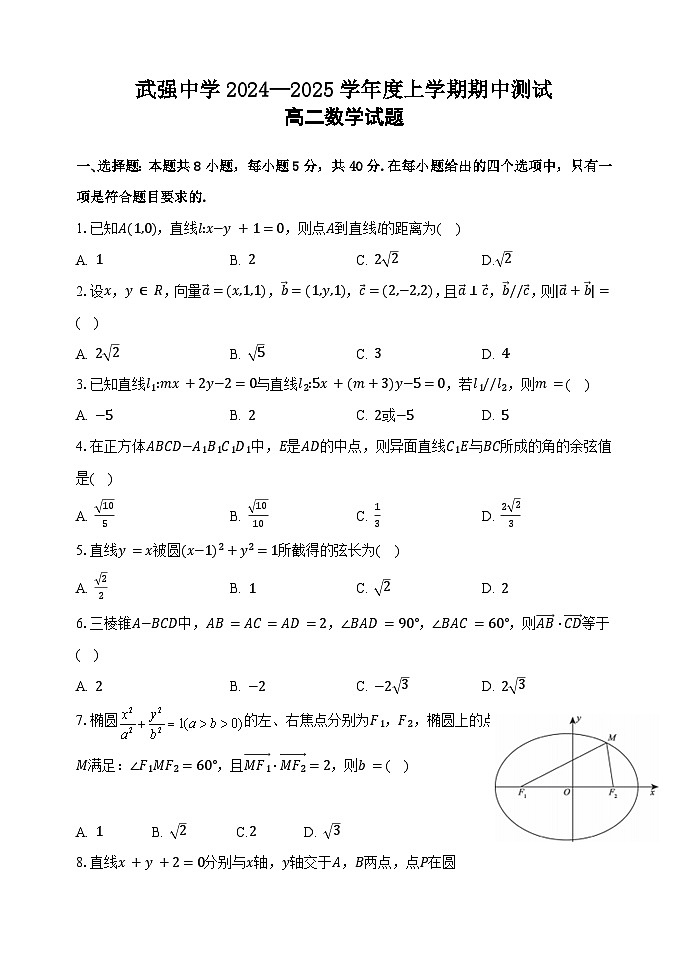 河北省衡水市武强中学2024-2025学年高二年级上学期期中考试数学试题第1页