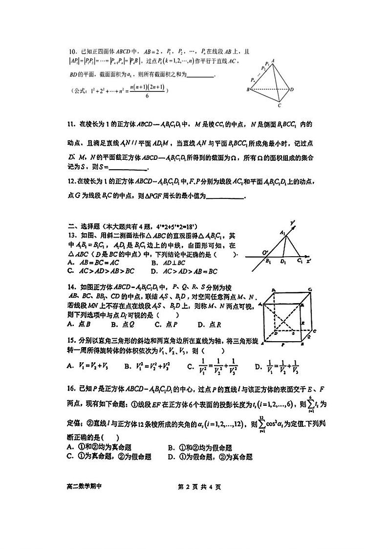 上海市南洋模范中学2024-2025学年高二上学期期中考试数学试题第2页
