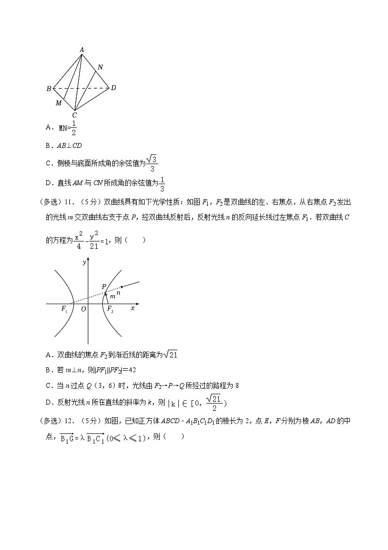 2024-2025学年山东省德州市高二（上）期中数学试卷03