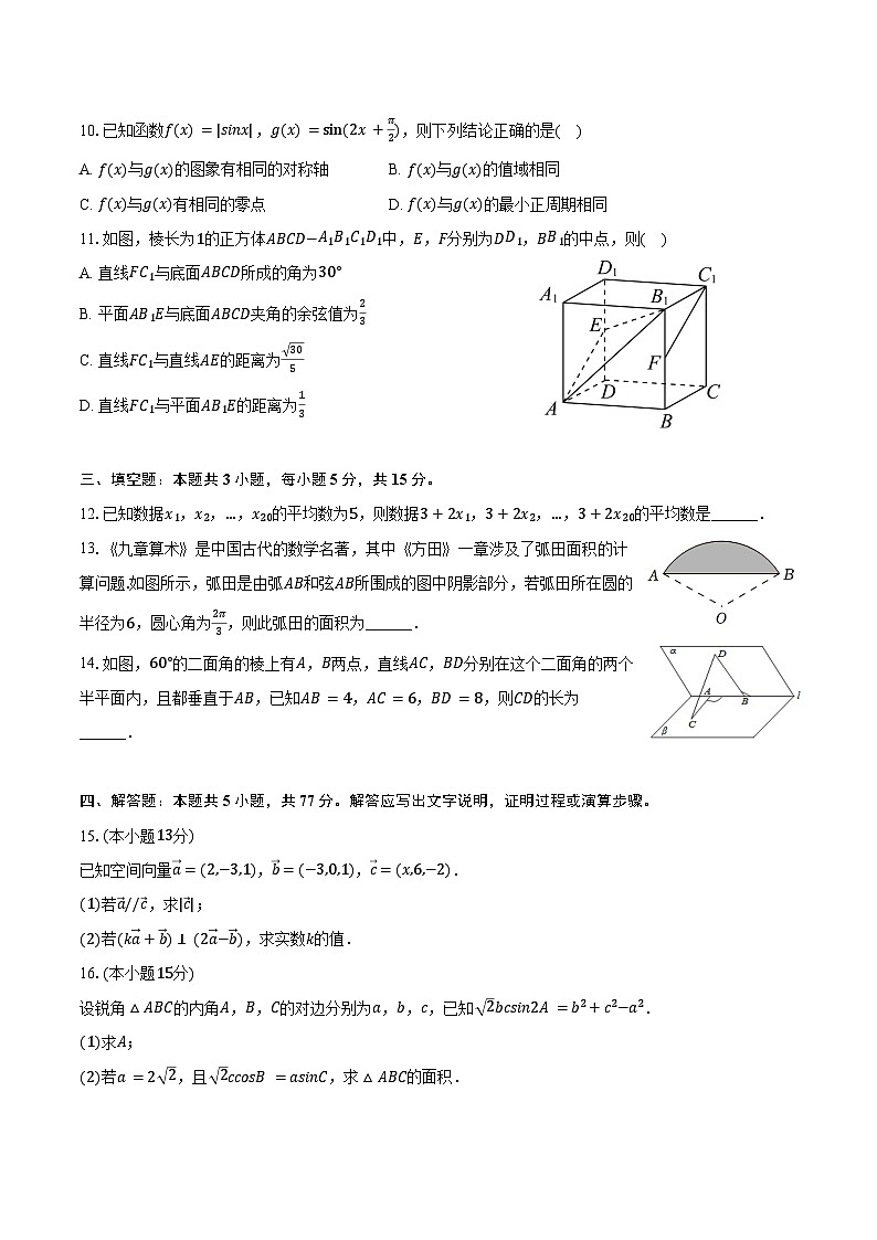 2024-2025学年广西南宁市沛鸿民族中学高二（上）月考数学试卷（10月份）（含答案）第3页