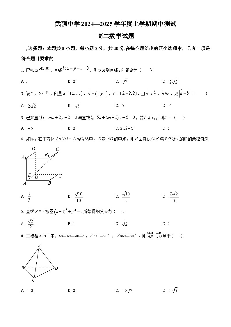 河北省衡水市武强中学2024-2025学年高二上学期期中考试数学试题（Word版附解析）01