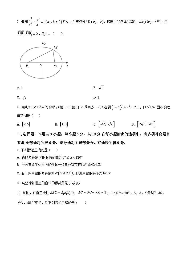 河北省衡水市武强中学2024-2025学年高二上学期期中考试数学试题（Word版附解析）02