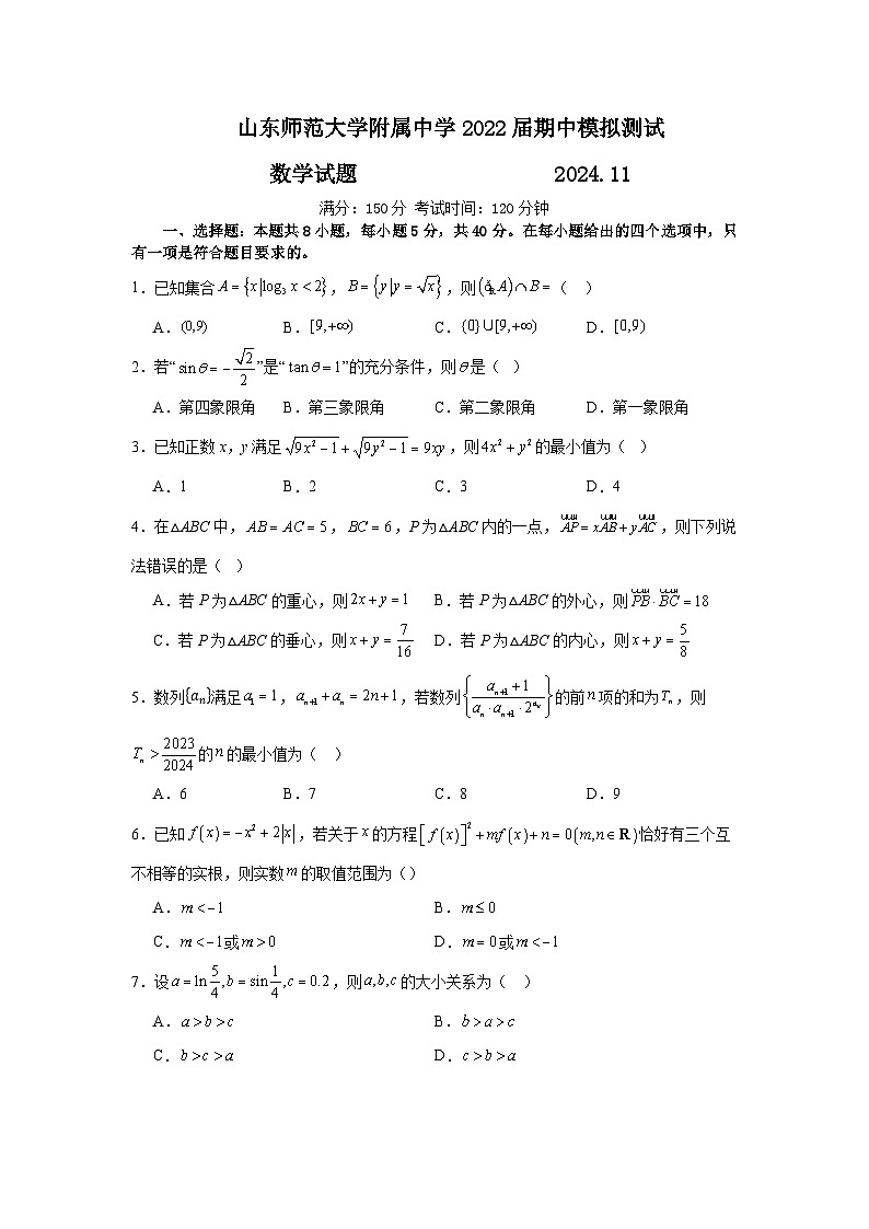 山东省济南市山东师范大学附属中学2024-2025学年高三上学期11月数学期中模拟测试试题第1页