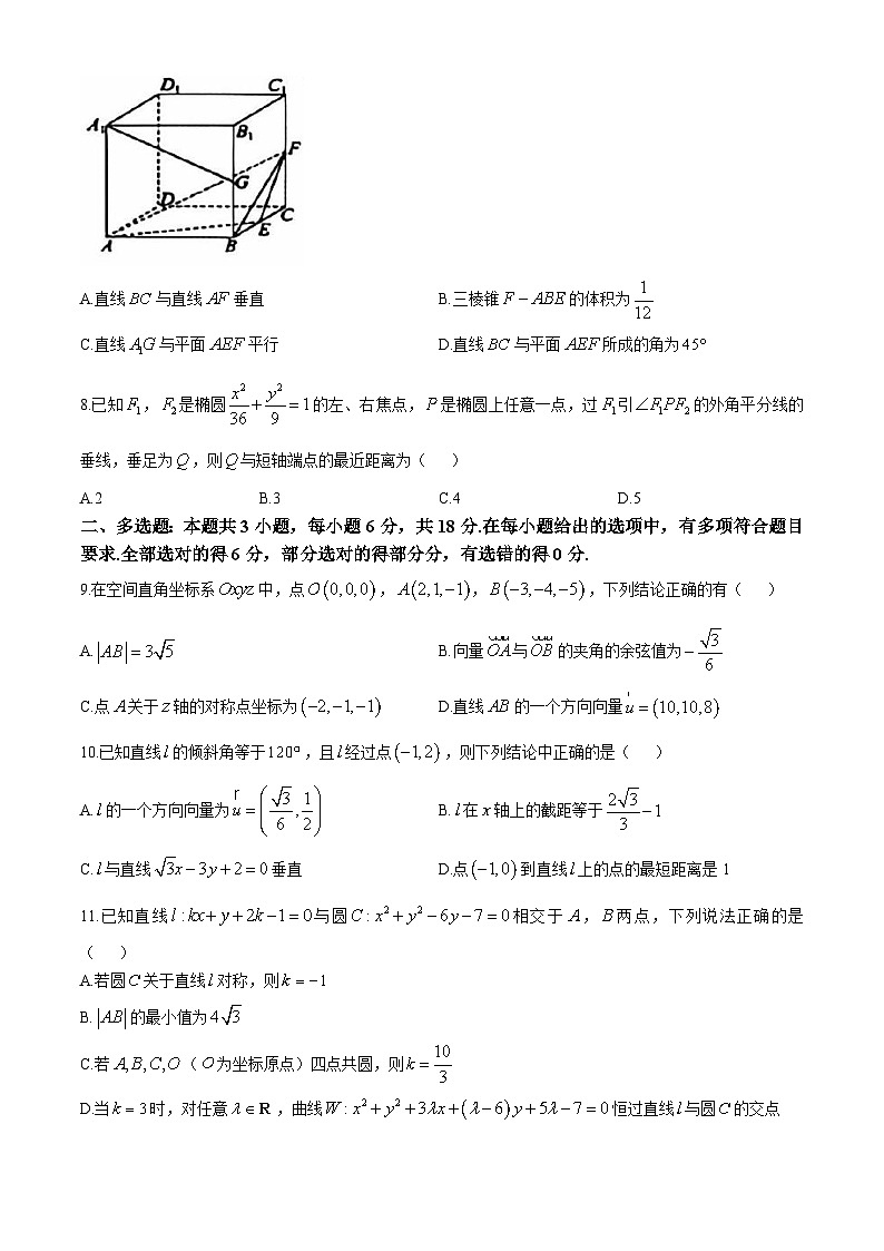 浙江省台州市十校联盟2024-2025学年高二上学期11月期中联考数学试卷（Word版附答案）02