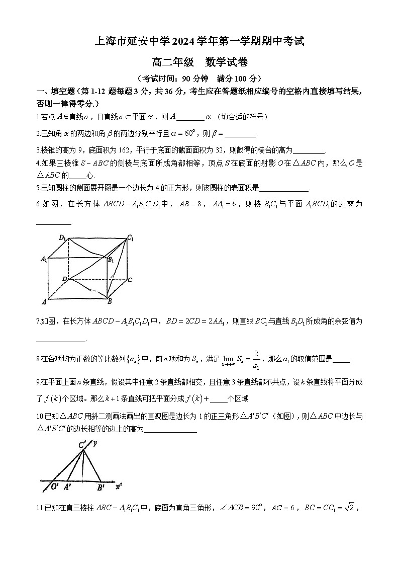 上海市延安中学2024-2025学年高二上学期期中考试数学试卷(无答案)第1页