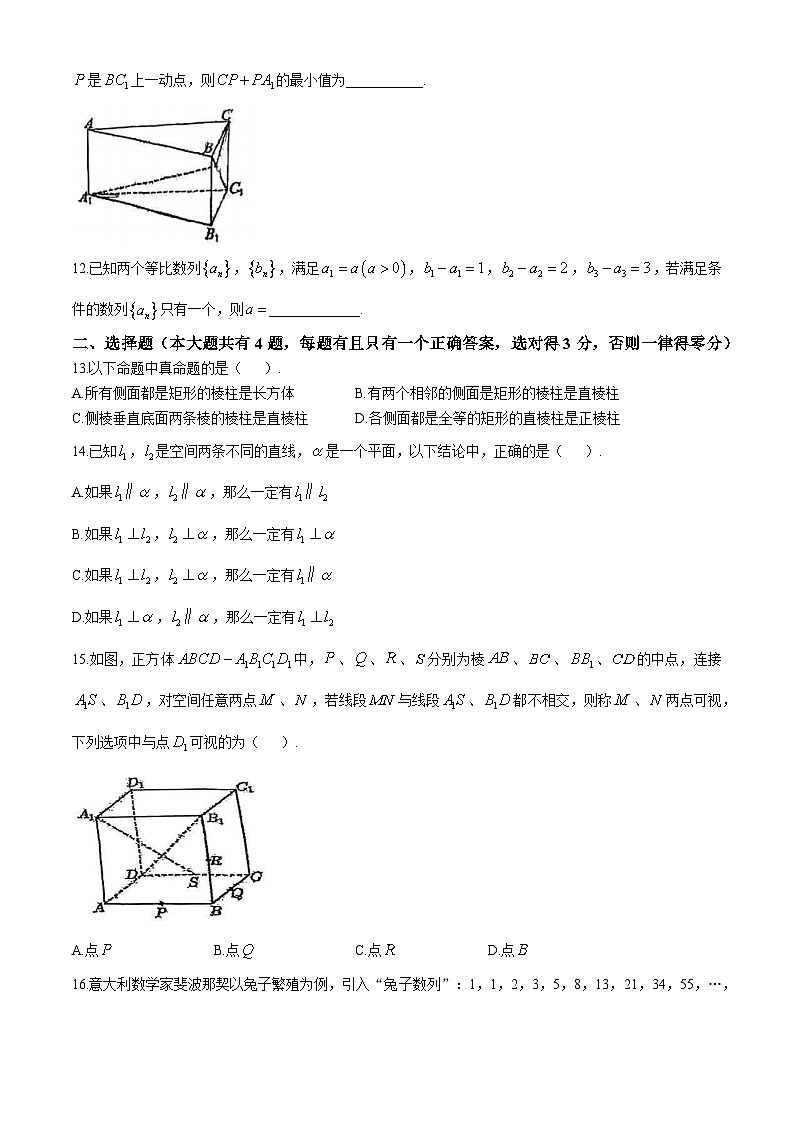 上海市延安中学2024-2025学年高二上学期期中考试数学试卷(无答案)第2页
