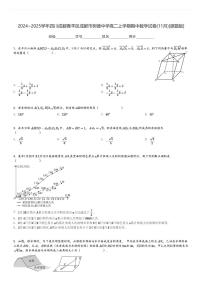 2024～2025学年四川成都青羊区成都市树德中学高二上学期期中数学试卷(11月)[原题+解析版]