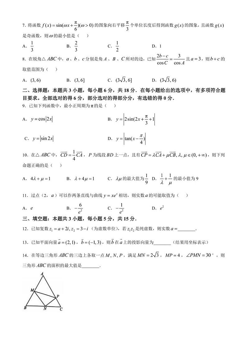 河北省沧州市沧县中学2024～2025学年高三上学期11月期中考试数学试题（含答案）第2页