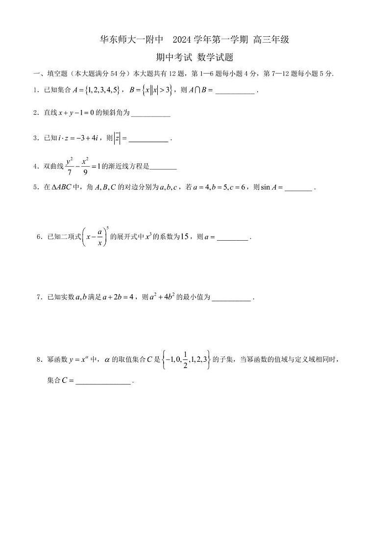 上海市华东师范大学附属第一中学2024-2025学年高三上学期数学期中考试试卷第1页