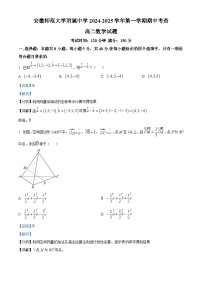 安徽省芜湖市师范大学附属中学2024-2025学年高二上学期期中考试数学试题（Word版附解析）